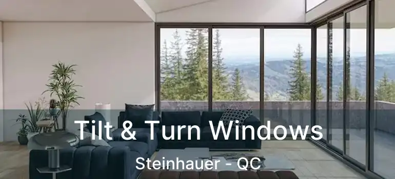  Tilt & Turn Windows Steinhauer - QC