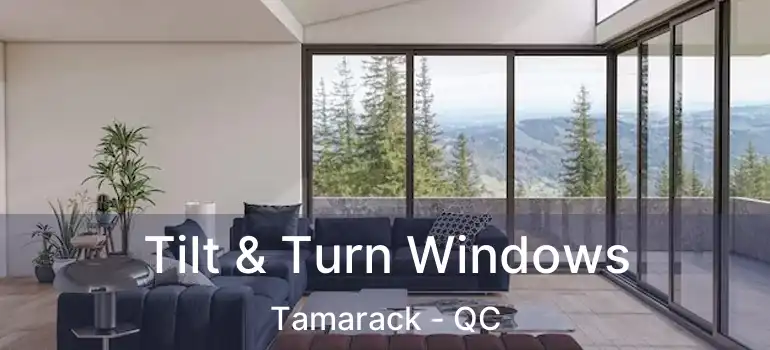  Tilt & Turn Windows Tamarack - QC