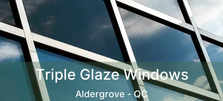  Triple Glaze Windows Aldergrove - QC