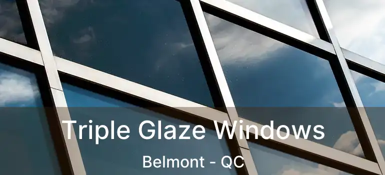  Triple Glaze Windows Belmont - QC