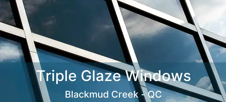  Triple Glaze Windows Blackmud Creek - QC