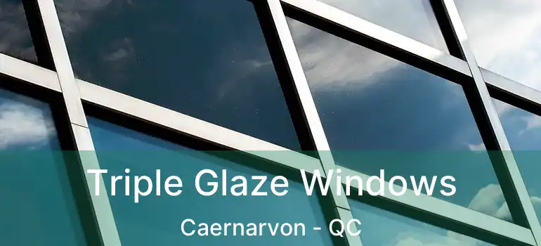  Triple Glaze Windows Caernarvon - QC