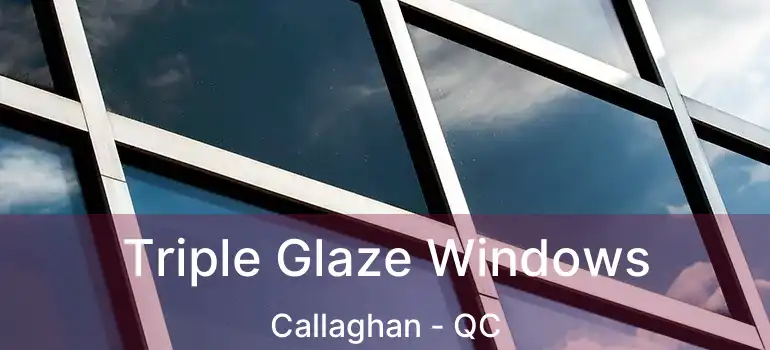  Triple Glaze Windows Callaghan - QC