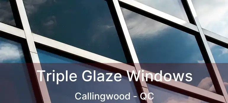  Triple Glaze Windows Callingwood - QC