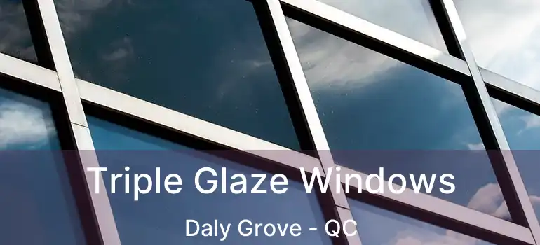  Triple Glaze Windows Daly Grove - QC