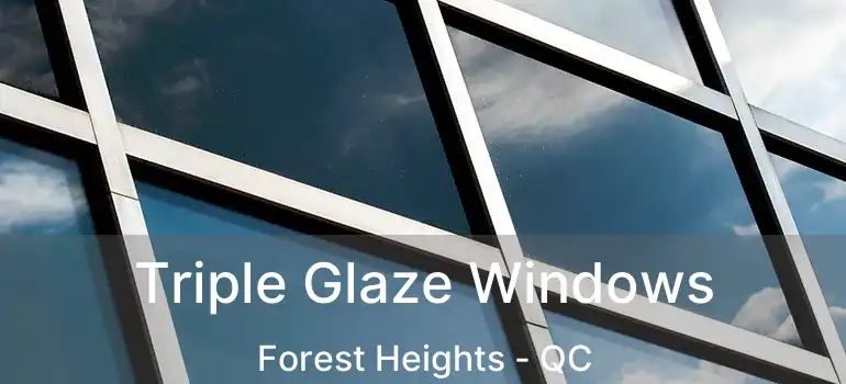  Triple Glaze Windows Forest Heights - QC