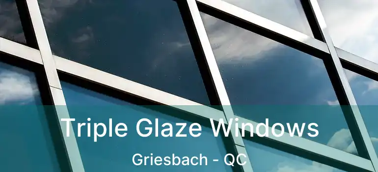  Triple Glaze Windows Griesbach - QC