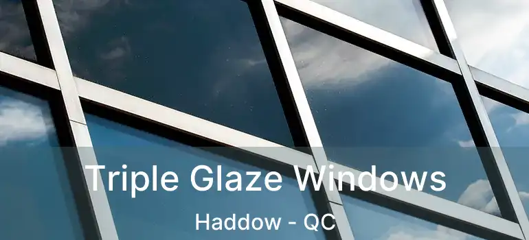  Triple Glaze Windows Haddow - QC