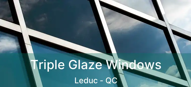  Triple Glaze Windows Leduc - QC