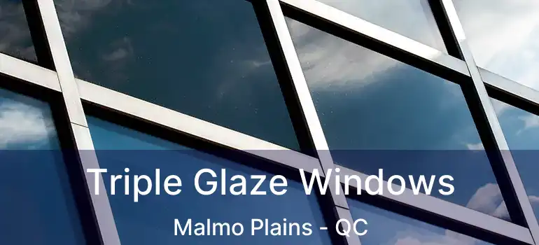  Triple Glaze Windows Malmo Plains - QC