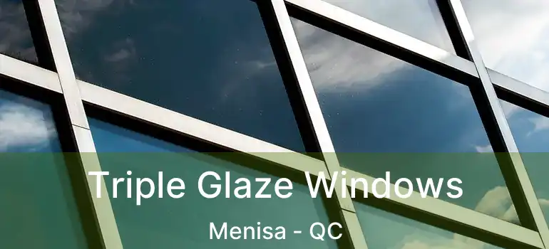  Triple Glaze Windows Menisa - QC
