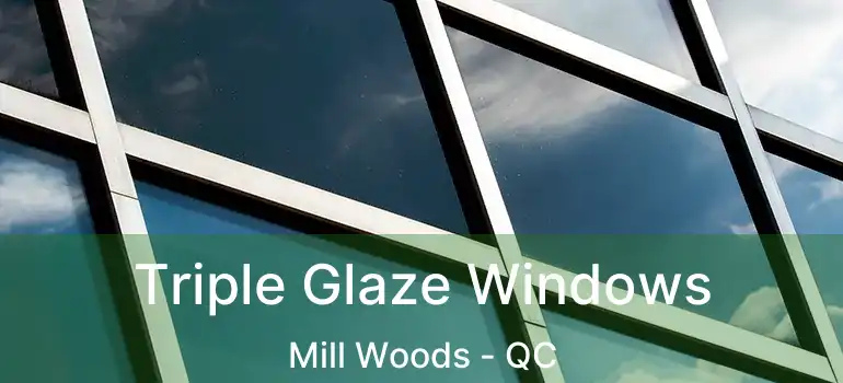  Triple Glaze Windows Mill Woods - QC