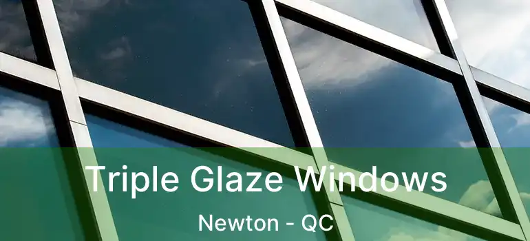  Triple Glaze Windows Newton - QC