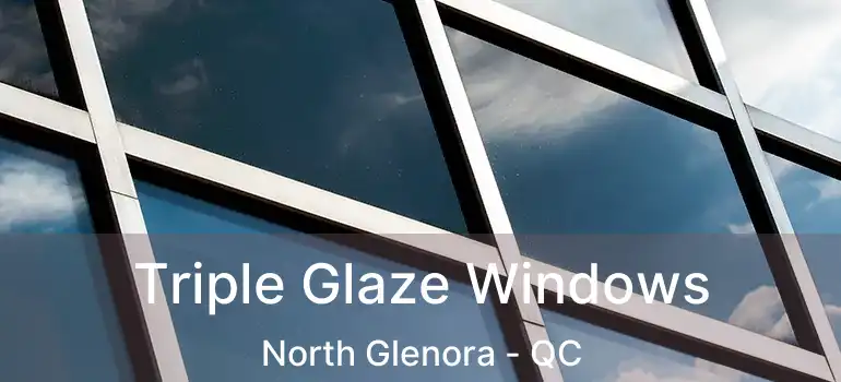  Triple Glaze Windows North Glenora - QC