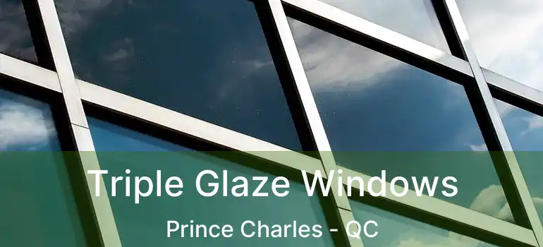  Triple Glaze Windows Prince Charles - QC