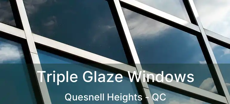  Triple Glaze Windows Quesnell Heights - QC