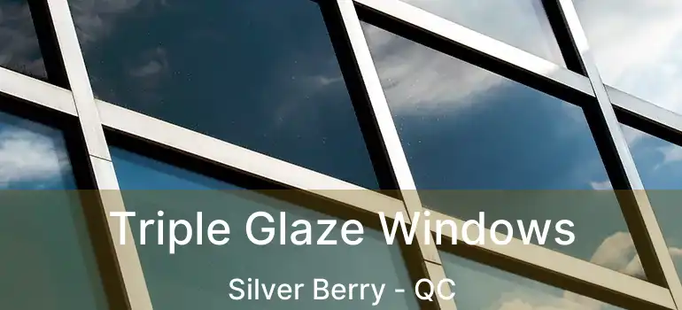  Triple Glaze Windows Silver Berry - QC