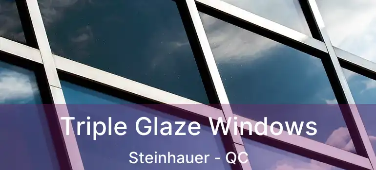  Triple Glaze Windows Steinhauer - QC
