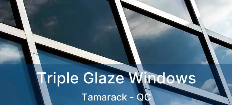 Triple Glaze Windows Tamarack - QC