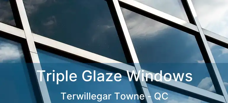  Triple Glaze Windows Terwillegar Towne - QC