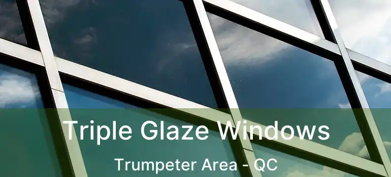  Triple Glaze Windows Trumpeter Area - QC