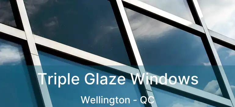  Triple Glaze Windows Wellington - QC
