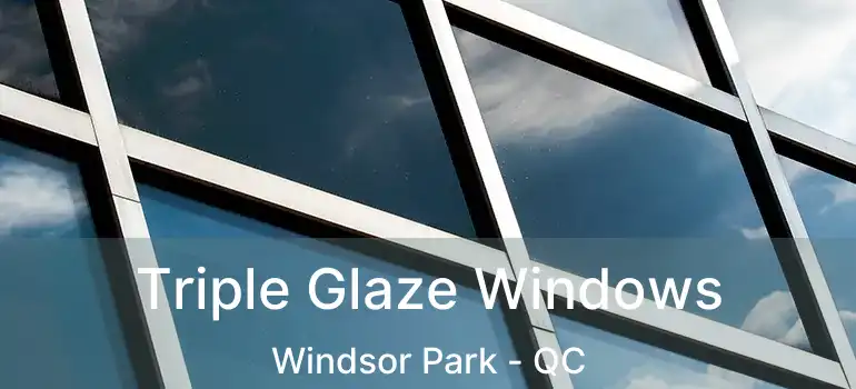 Triple Glaze Windows Windsor Park - QC