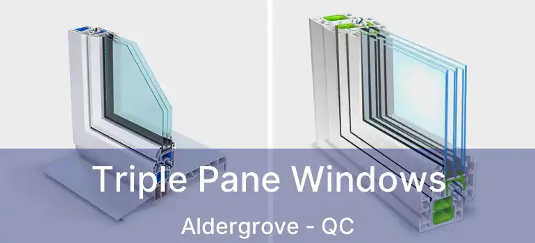  Triple Pane Windows Aldergrove - QC