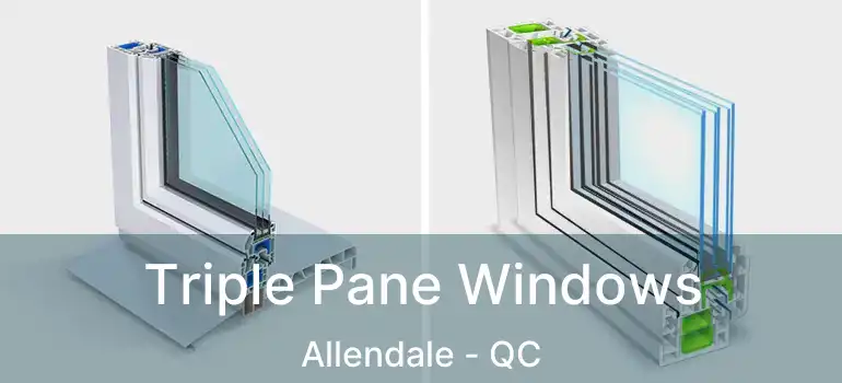  Triple Pane Windows Allendale - QC