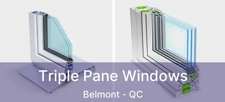  Triple Pane Windows Belmont - QC