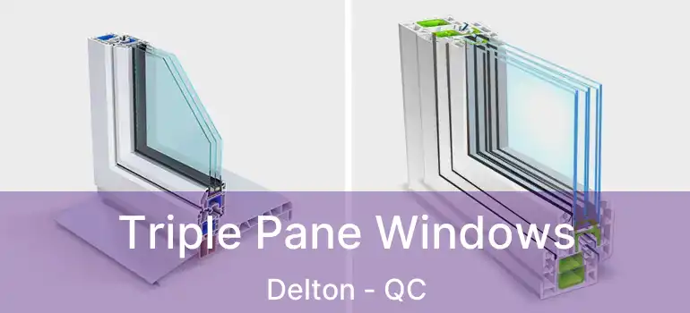  Triple Pane Windows Delton - QC