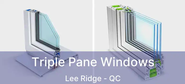  Triple Pane Windows Lee Ridge - QC