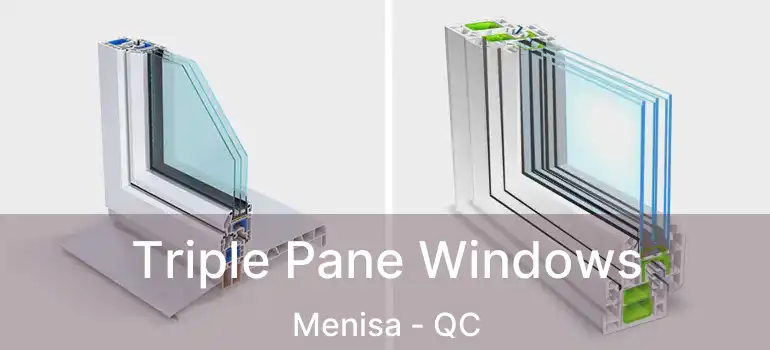  Triple Pane Windows Menisa - QC