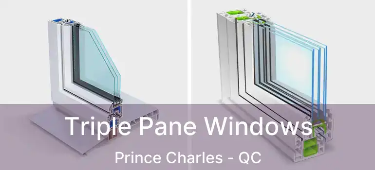  Triple Pane Windows Prince Charles - QC