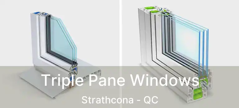  Triple Pane Windows Strathcona - QC