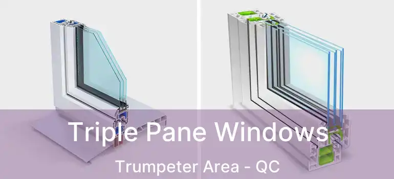  Triple Pane Windows Trumpeter Area - QC