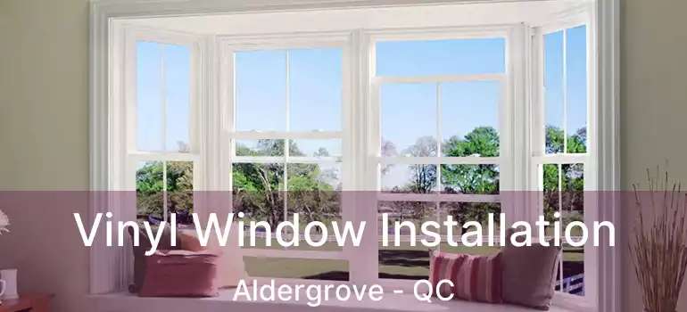  Vinyl Window Installation Aldergrove - QC