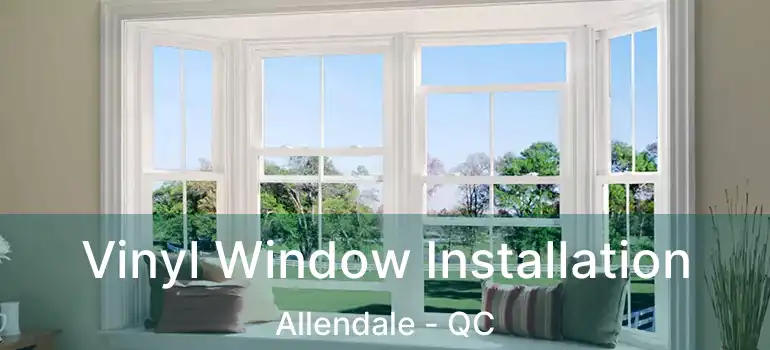 Vinyl Window Installation Allendale - QC