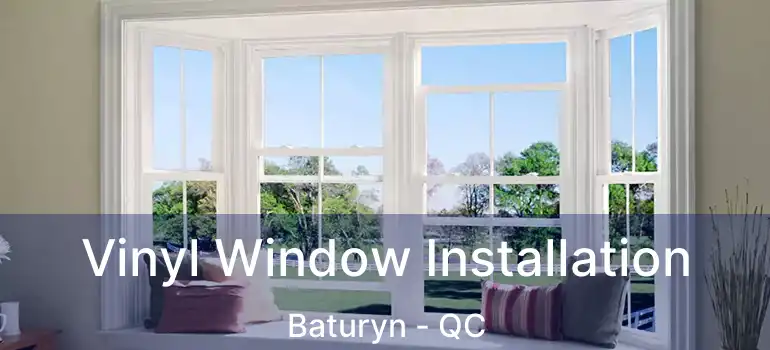  Vinyl Window Installation Baturyn - QC