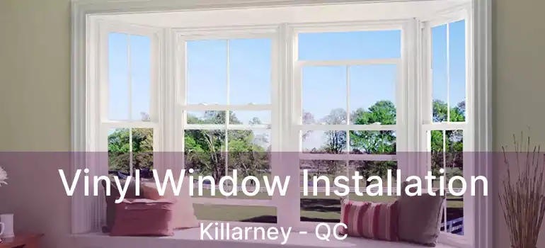  Vinyl Window Installation Killarney - QC