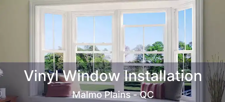  Vinyl Window Installation Malmo Plains - QC