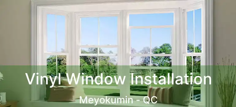  Vinyl Window Installation Meyokumin - QC
