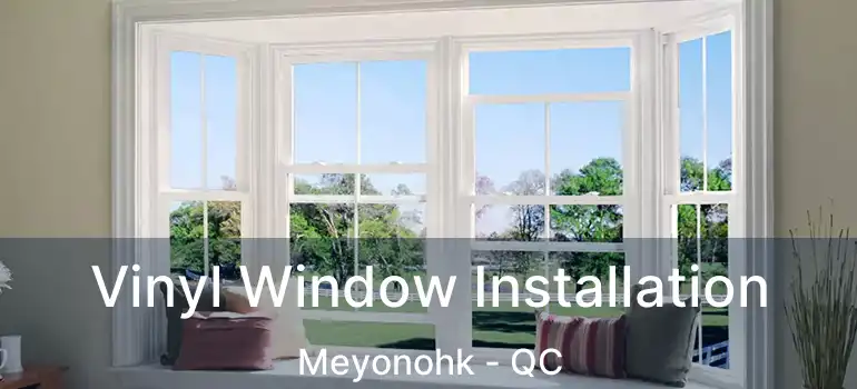  Vinyl Window Installation Meyonohk - QC