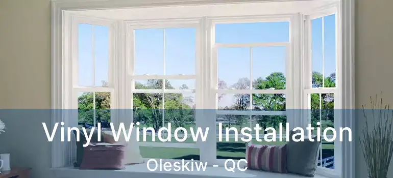  Vinyl Window Installation Oleskiw - QC