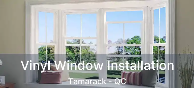  Vinyl Window Installation Tamarack - QC