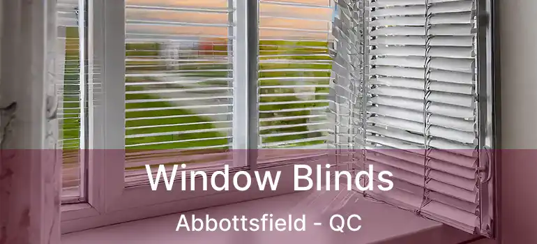  Window Blinds Abbottsfield - QC
