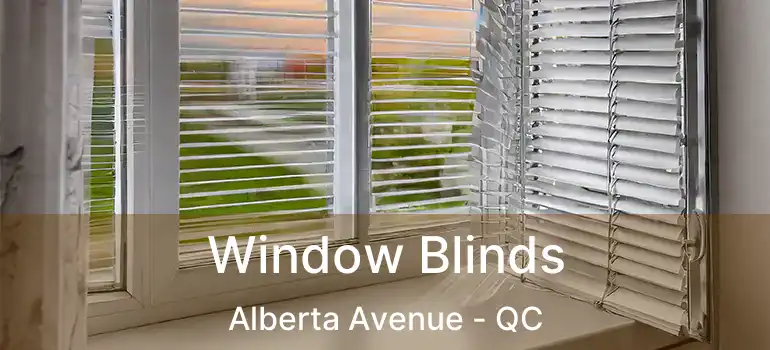  Window Blinds Alberta Avenue - QC