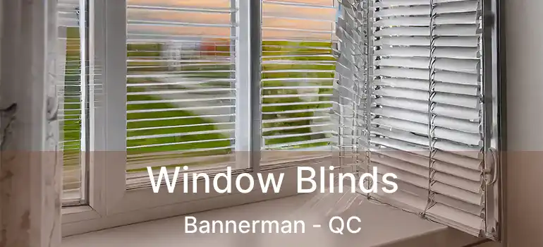  Window Blinds Bannerman - QC