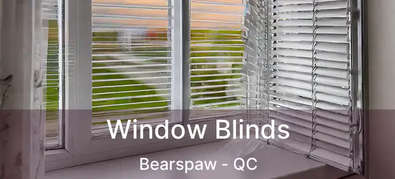  Window Blinds Bearspaw - QC