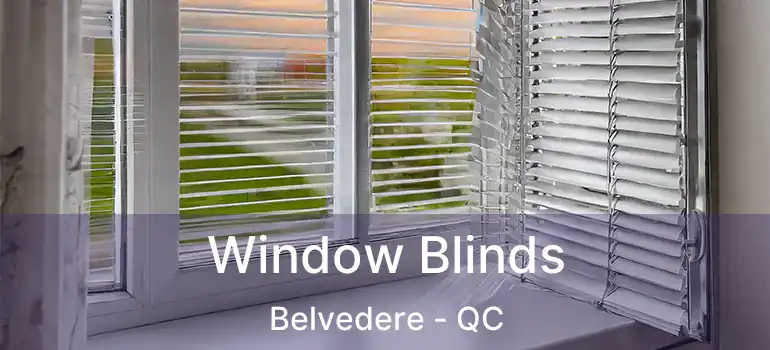  Window Blinds Belvedere - QC